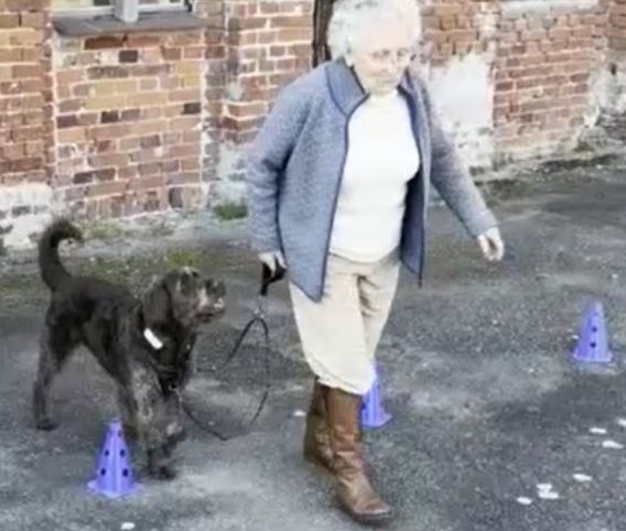 Mokka folgt aufmerksam